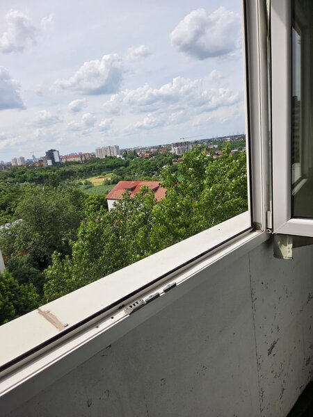 Pantelimon, Zambila Ionita,