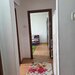 Pantelimon, Zambila Ionita,