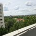 Pantelimon, Zambila Ionita,