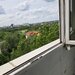 Pantelimon, Zambila Ionita,